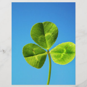 three leaved clover