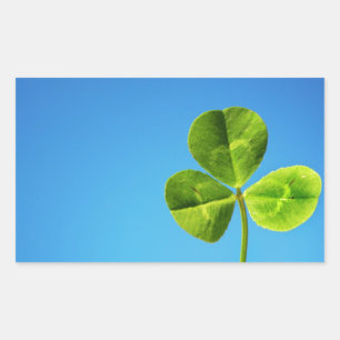 three leaved clover rectangular sticker