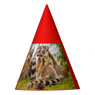 three lemurs on Party Hat