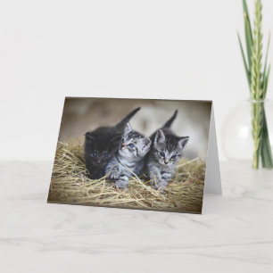 Three Little Kittens Card