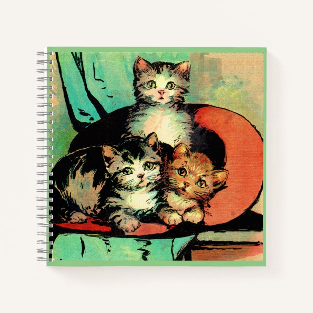 three little kittens notebook (Front)