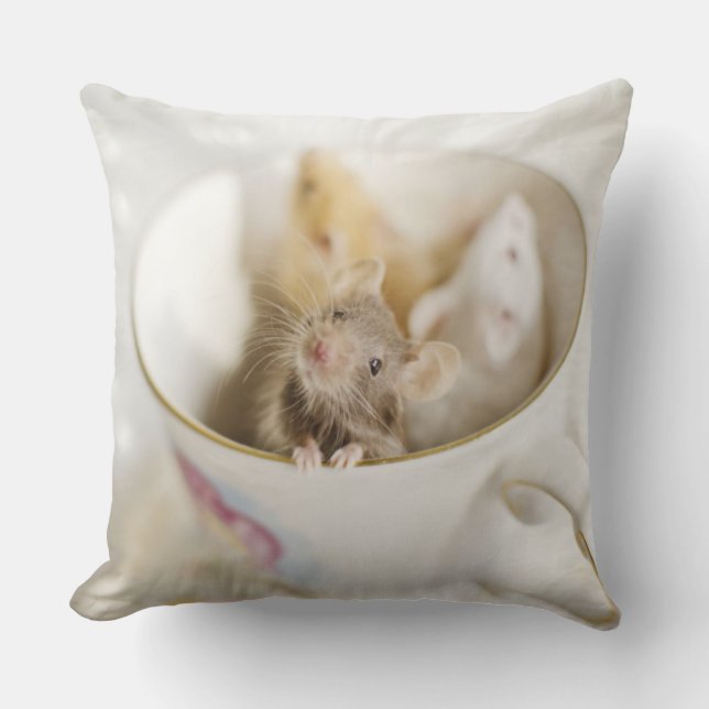Three Little Mice Cushion (Front)