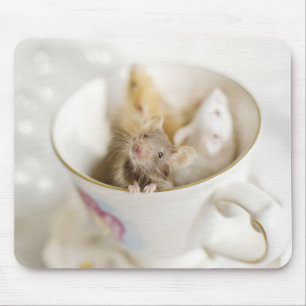 Three Little Mice Mouse Pad