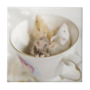 Three Little Mice Tile