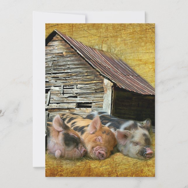 Three Little Pigs At The Rustic Barn Snoozing Invitation (Front)