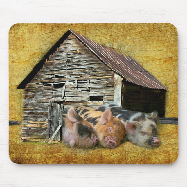 Three Little Pigs At The Rustic Barn Snoozing Mouse Pad (Front)