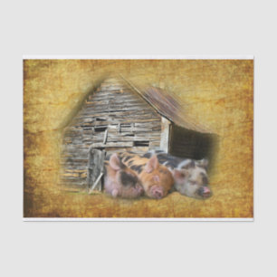 Three Little Pigs At The Rustic Barn Snoozing Tissue Paper