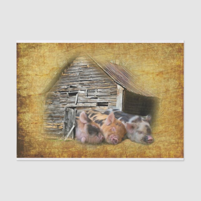 Three Little Pigs At The Rustic Barn Snoozing Tissue Paper (Front)