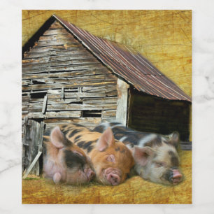 Three Little Pigs At The Rustic Barn Snoozing Wine Label