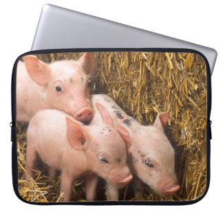 Three Little Pigs Laptop Sleeve