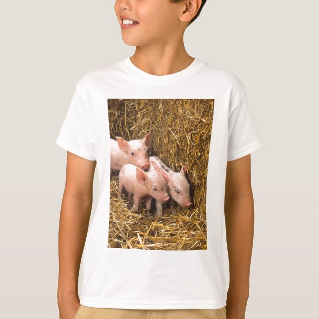 Three Little Pigs T-Shirt (Front)