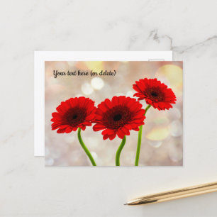 Three Little Red Gerberas Postcard