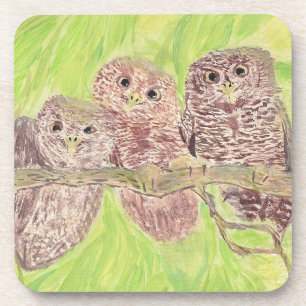 Three Little Scowling Owls - acrylic painting. Coaster