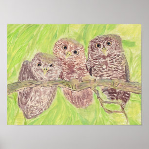 Three Little Scowling Owls - acrylic painting.    Poster
