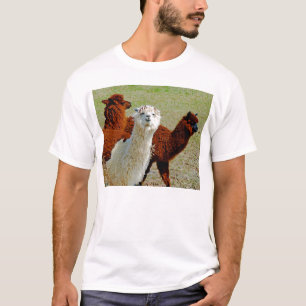 Three Llamas T-Shirt