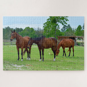 Three Majestic Horses  Jigsaw Puzzle