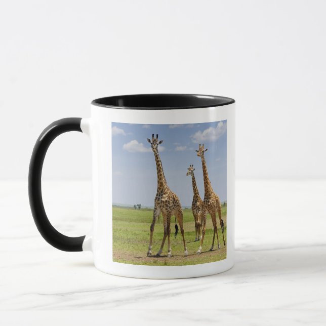 three Masai giraffes, Giraffa camelopardalis Mug (Left)