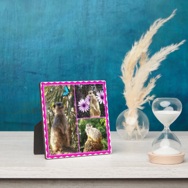 Three Meerkat Photo Collage, Photo Plaque (Insitu)