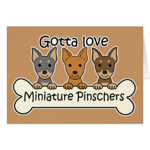 Three Miniature Pinschers