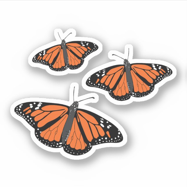 Three Monarch Butterfly (Front)