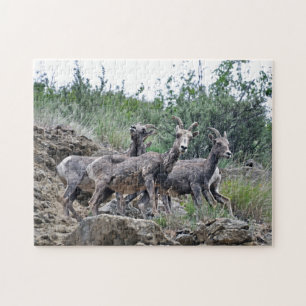 Three Mountain Goats On Rocks Design Jigsaw Puzzle