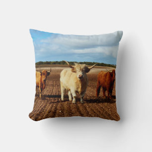 Three Naughty Highland Cows, Cushion