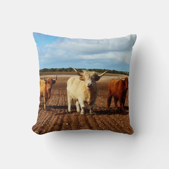 Three Naughty Highland Cows, Cushion (Front)