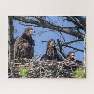 Three Of A Kind Jigsaw Puzzle