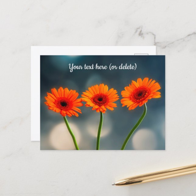 Three Orange Gerberas in a Row Postcard (Front/Back In Situ)
