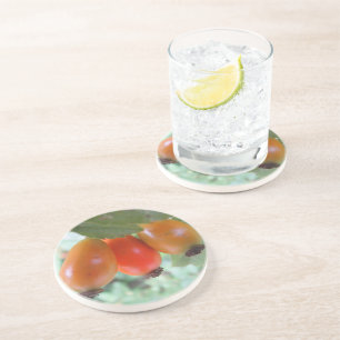 Three orange rosehips coaster