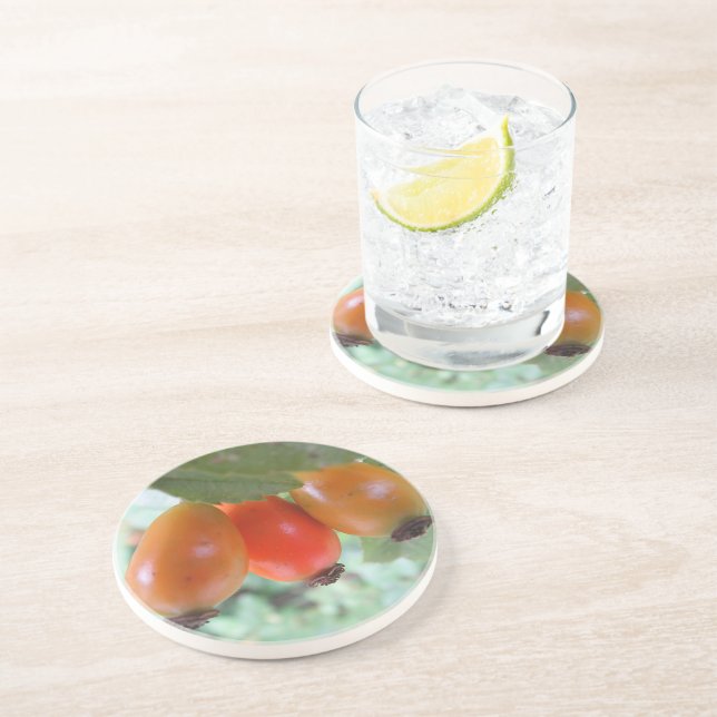 Three orange rosehips coaster (Side)