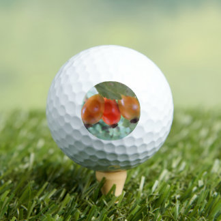 Three orange rosehips golf balls