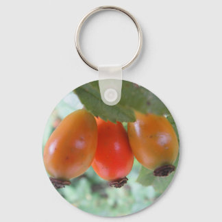 Three orange rosehips key ring