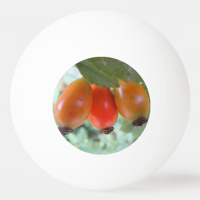 Three orange rosehips ping pong ball (Front)