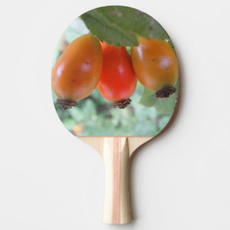 Three orange rosehips ping pong paddle