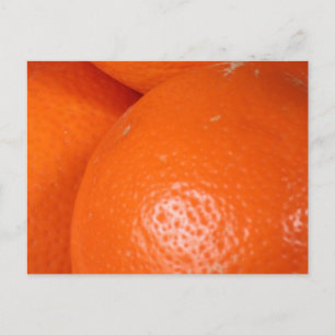Three Oranges Group Hug Still Life Photo Postcard