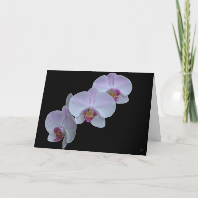 Three Orchid Greeting Cards (Front)