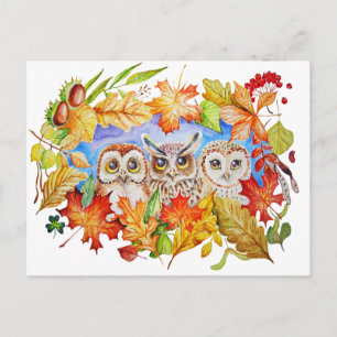 three owls autumn postcard