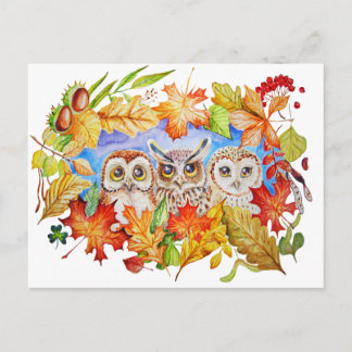 three owls autumn postcard