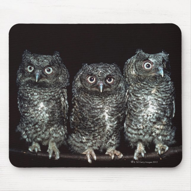 three owls mouse pad (Front)