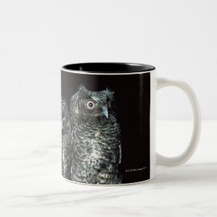 three owls Two-Tone coffee mug