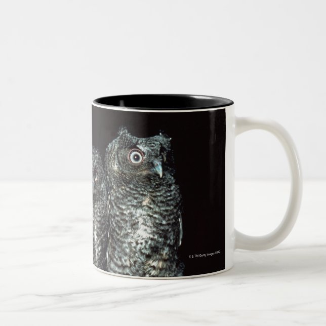 three owls Two-Tone coffee mug (Right)