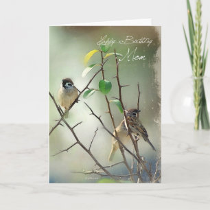 Three Painted Song Birds Birthday Card for Mum
