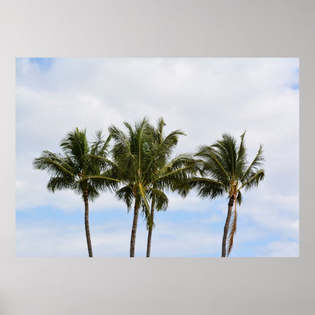 Three Palm Trees Poster (Front)
