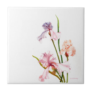 Three Pastel Irises CERAMIC TILE