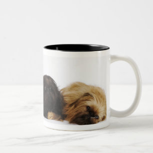 Three Pekingese dogs and single Pug lying down Two-Tone Coffee Mug