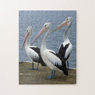 Three Pelicans on a Dock Photo Puzzle