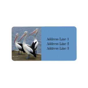 Three Pelicans Photo Address Label