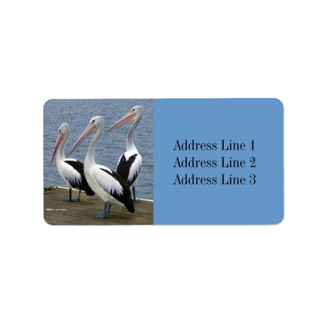 Three Pelicans Photo Address Label (Front)