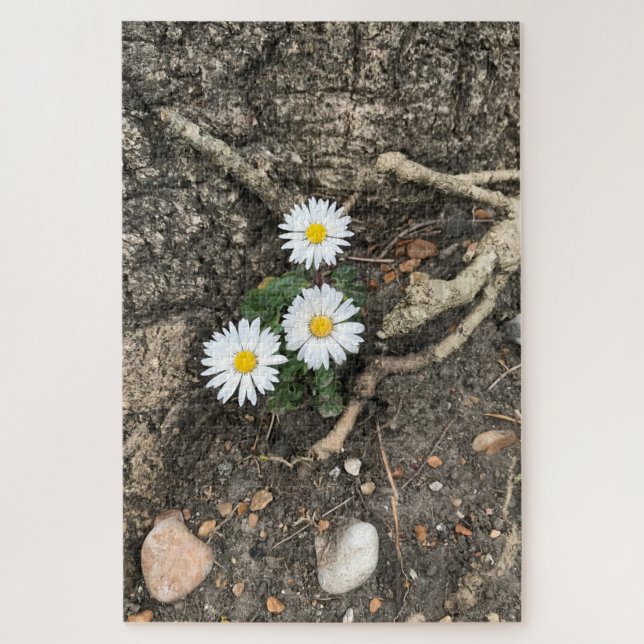 Three perfect Daisies against a tree trunk Jigsaw Puzzle (Vertical)